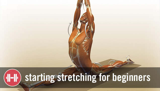 Starting Stretching for Beginners